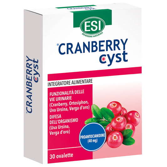 Nocyst Cranberry 700mg – 30 Tablets
